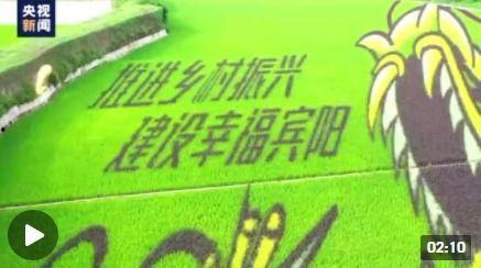 农村爆料标题大全最新图片  第2张